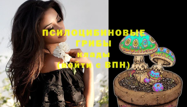 шишки Тында
