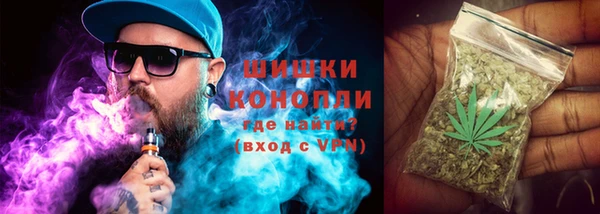 прущий лед Туринск