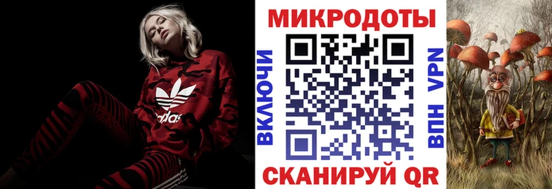 где купить наркотик  Гай  Галлюциногенные грибы мухоморы 