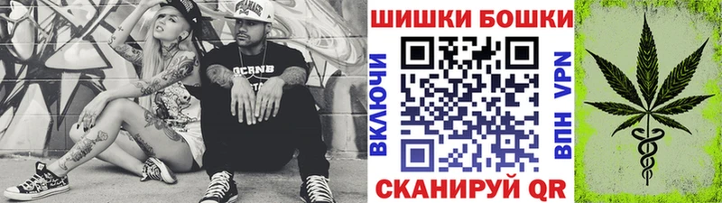 Канабис планчик  Гай 